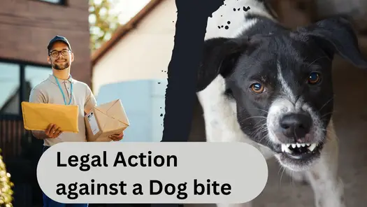 Can a Mailman Sue For a Dog Bite?