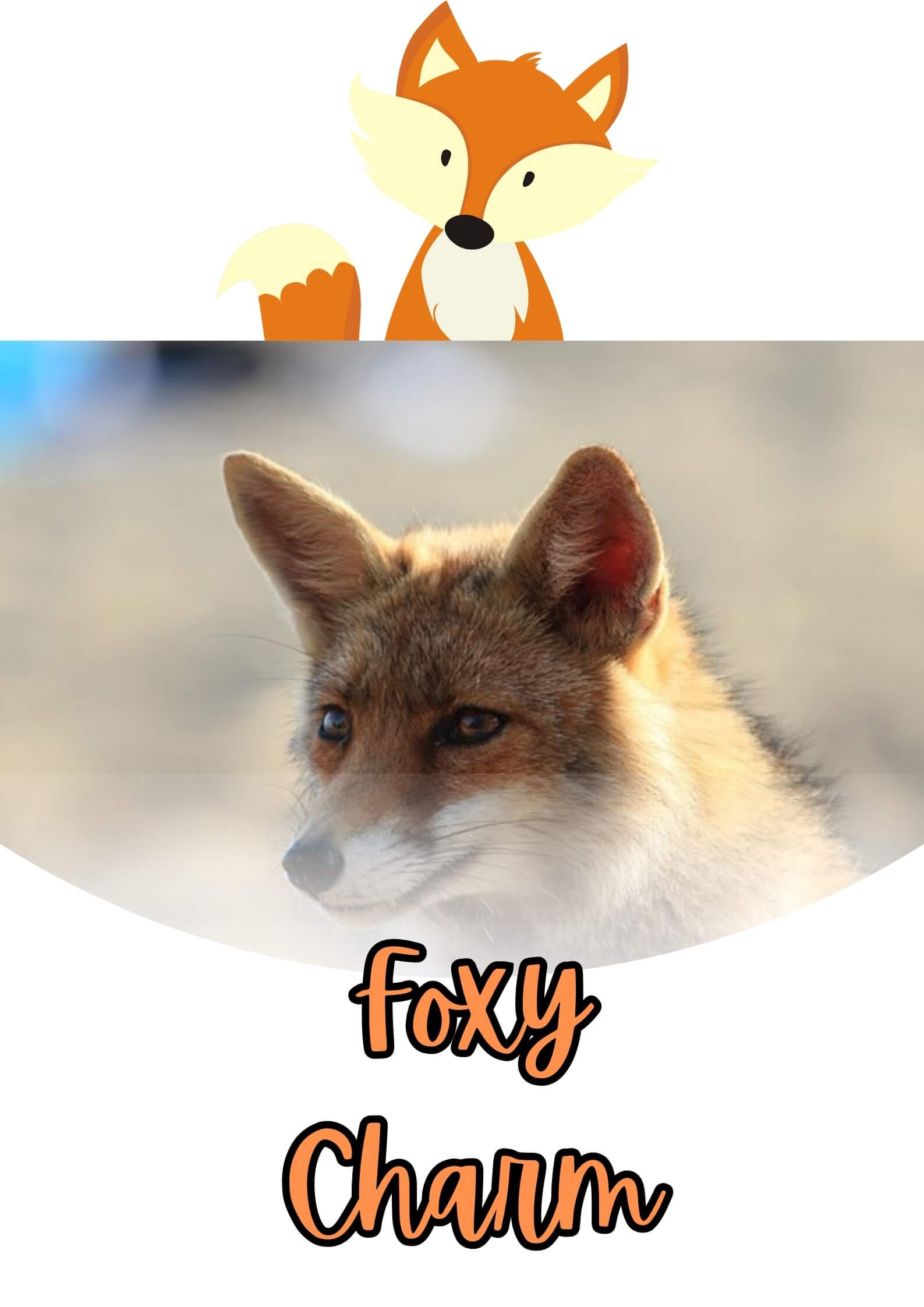 Fox stare Foxy Charm