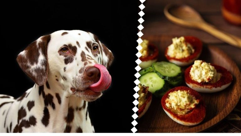 Unraveling the Truth: Are Deviled Eggs Safe for Dogs?