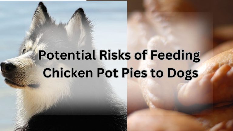 “Can Dogs Safely Enjoy Chicken Pot Pies? Find Out!”