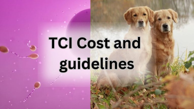 Discover the TCI Cost for Dogs in Your Area