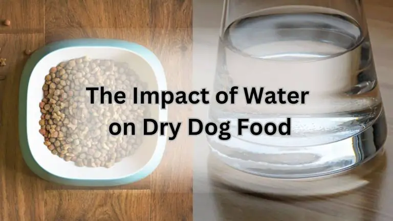 “Can Adding Water to Dry Dog Food Cause Diarrhea? Unveiling the Truth”