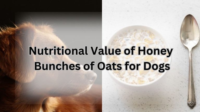 “Can Dogs Safely Enjoy Honey Bunches of Oats?”