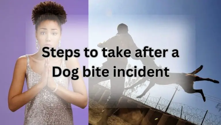 How to Apologize After Your Dog Bites – Expert Tips!