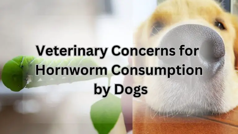 Are Hornworms Poisonous to Dogs? Find Out the Truth