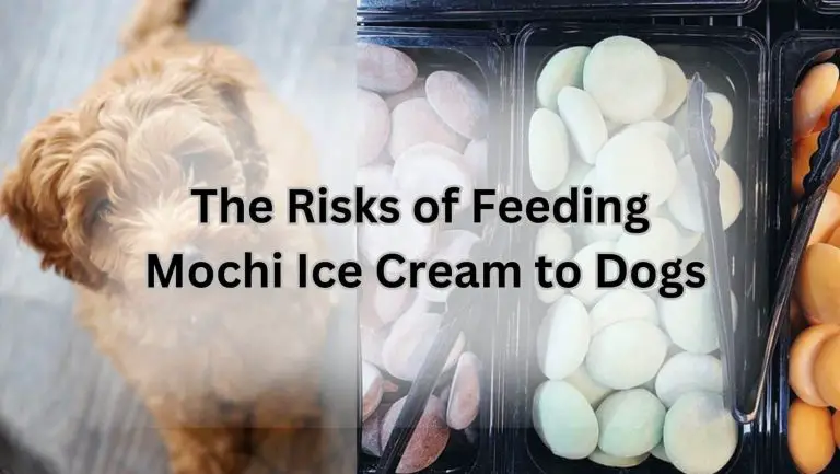 Can Dogs Safely Indulge in Delicious Mochi Ice Cream?