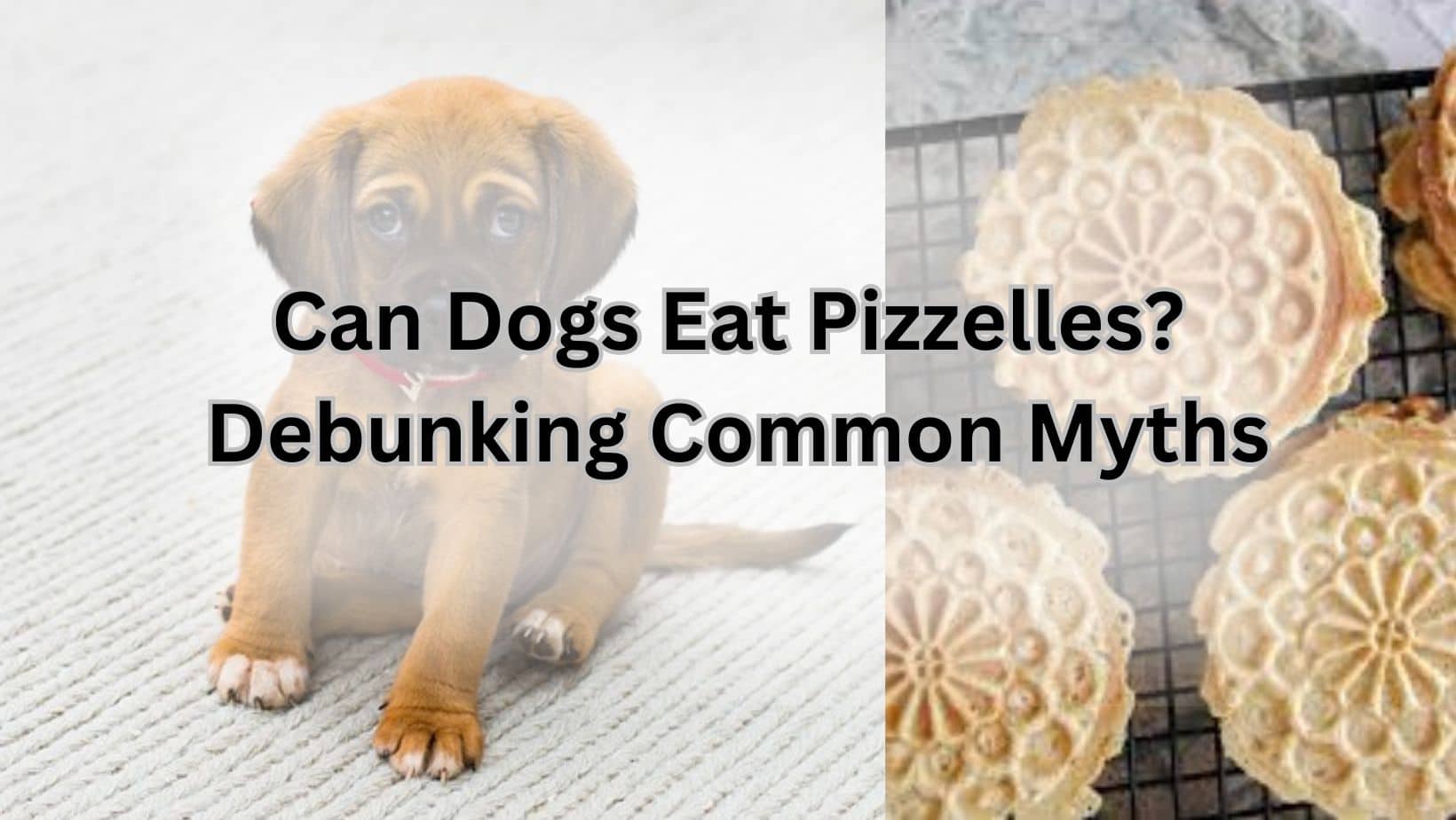 Pizzelles for dogs