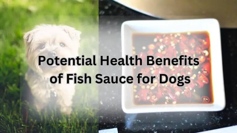 “Can Dogs Safely Enjoy the Flavor of Fish Sauce?”