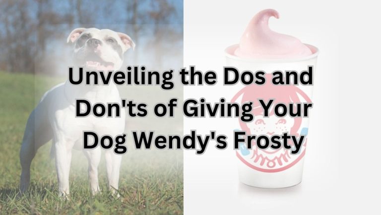 “Can Dogs Safely Indulge in Wendy’s Frosty Treats?”