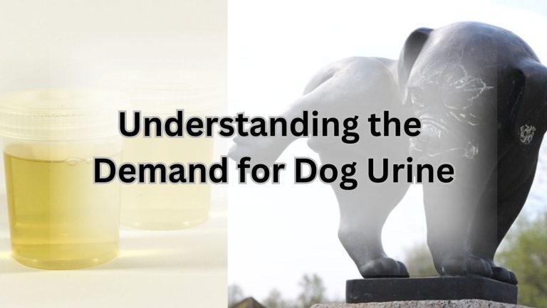 Buy Authentic Dog Urine for Effective Training and Solutions