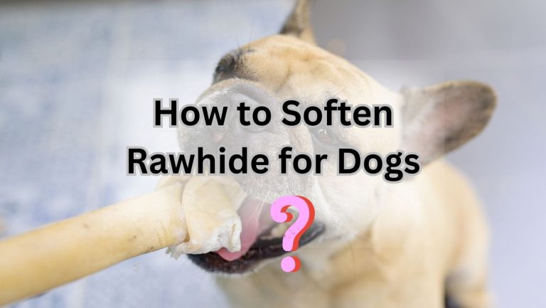 “Transform Your Dog’s Rawhide: Discover the Best Softening Methods”