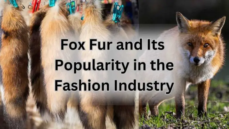 Is Fox Fur Really Worth the Splurge? Unveiling the Truth