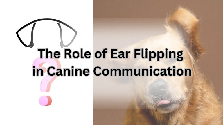 Why Do Dogs Flip Their Ears Inside Out? Discover the Surprising Answer!