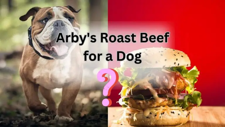“Can Your Dog Safely Enjoy Arby’s Roast Beef? Find Out Now!”