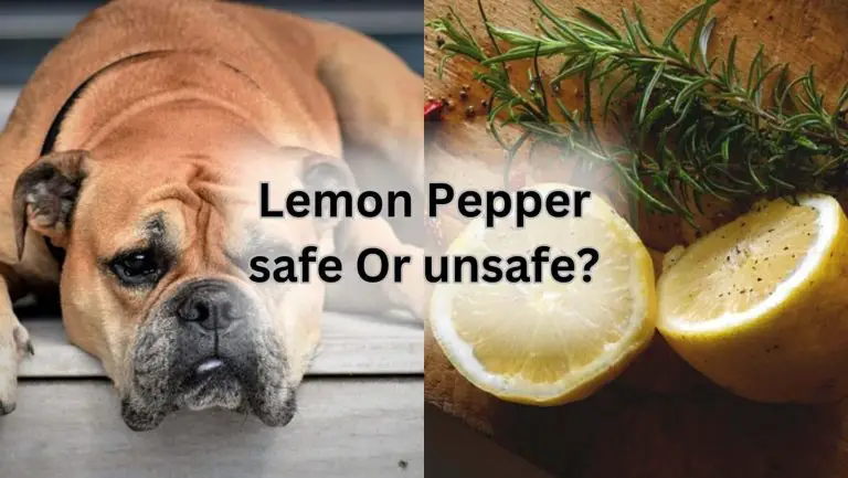 Dogs and Lemon Pepper: Safe or Unsafe?