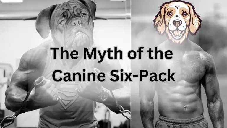 Unleash Your Dog’s Potential: Can Dogs Really Get Abs?