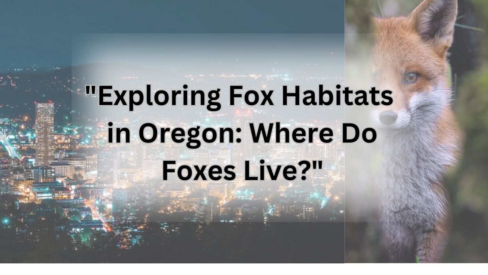 "Exploring Fox Habitats in Oregon: Where Do Foxes Live?"