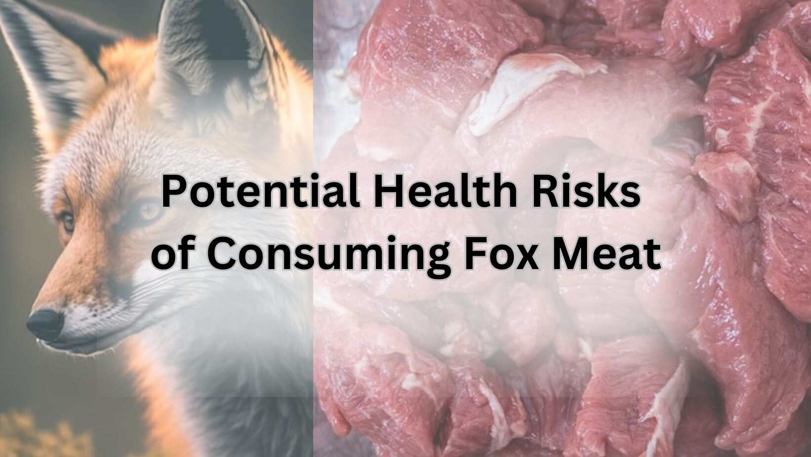 Potential Health Risks of Consuming Fox Meat