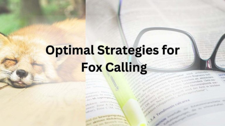 Optimal Strategies for Fox Calling