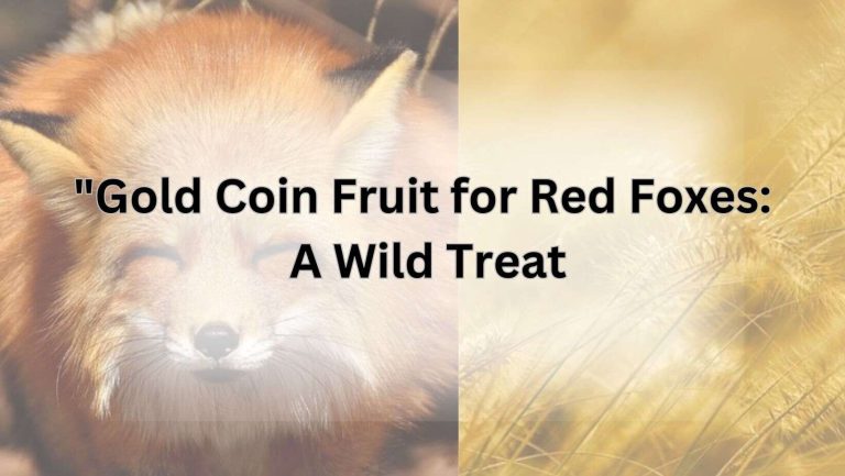 "Gold Coin Fruit for Red Foxes: A Wild Treat