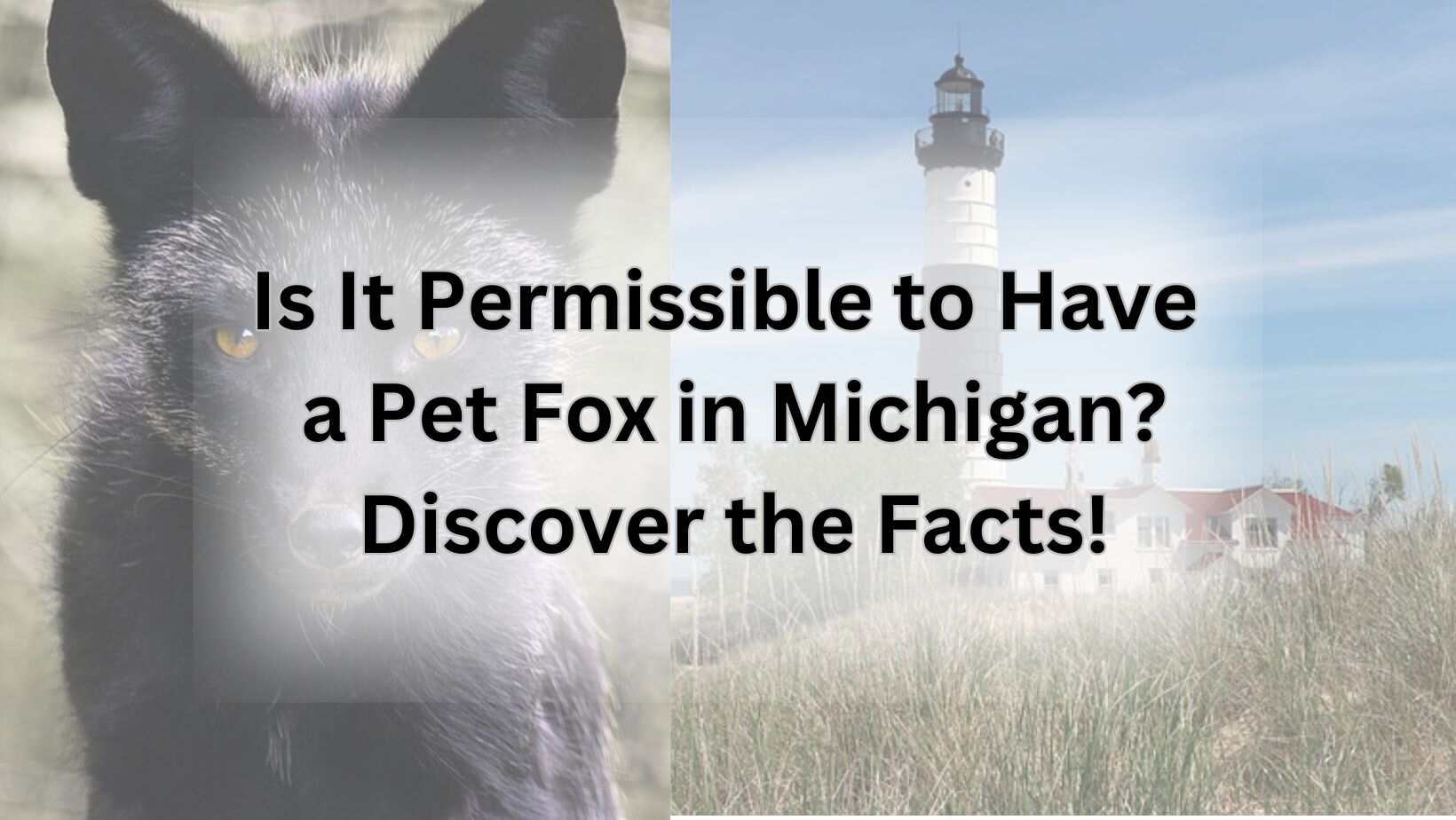 Is It Permissible to Have a Pet Fox in Michigan? Discover the Facts!