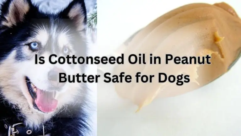Is Cottonseed Oil in Peanut Butter Safe for Dogs? Find Out!