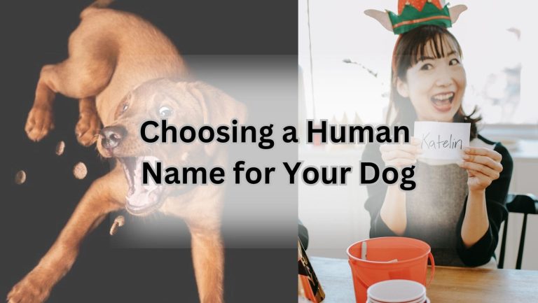 Is Your Dog’s Name More Human Than Yours? Discover Now!