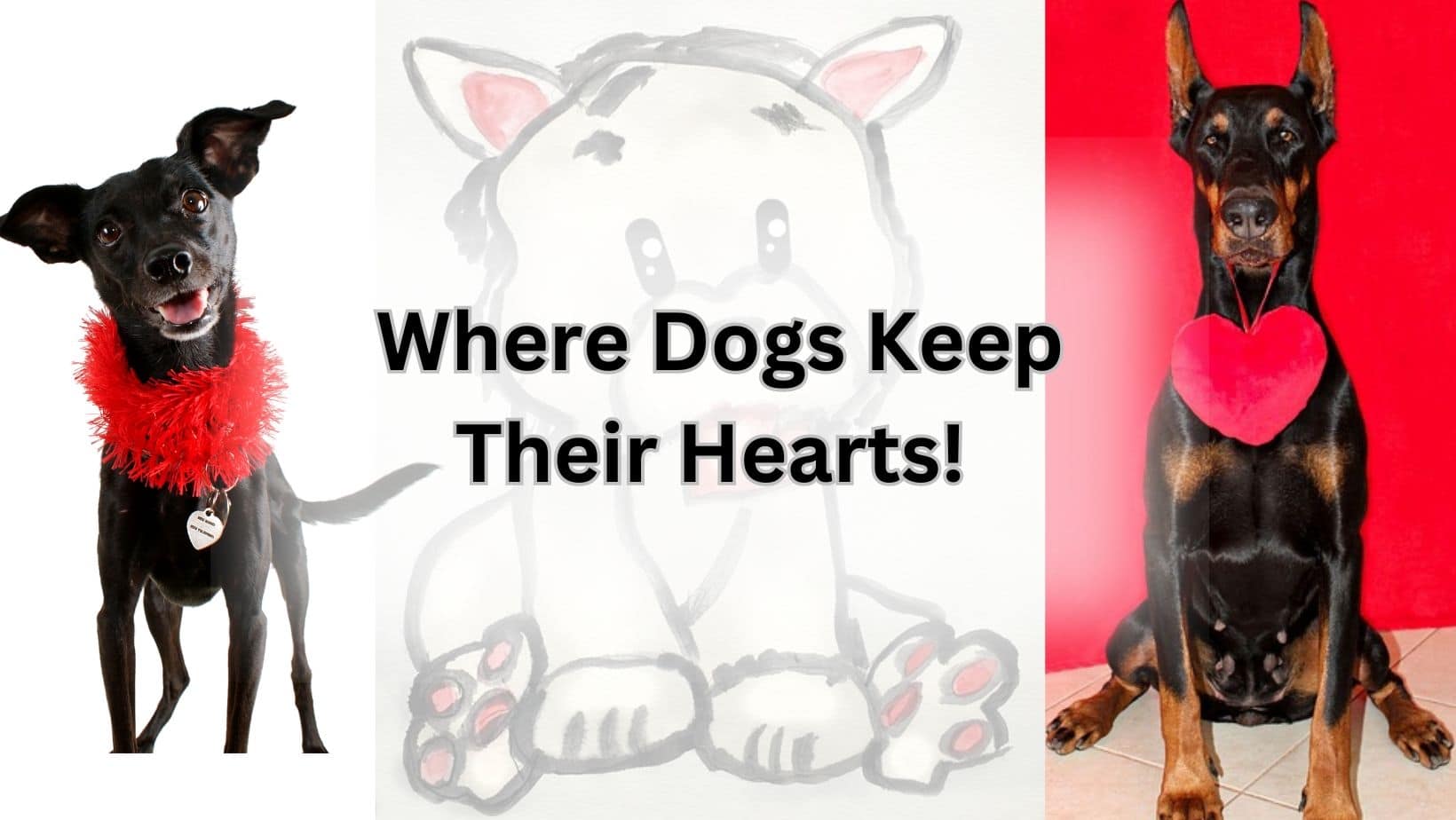 Where Dogs Keep Their Hearts!