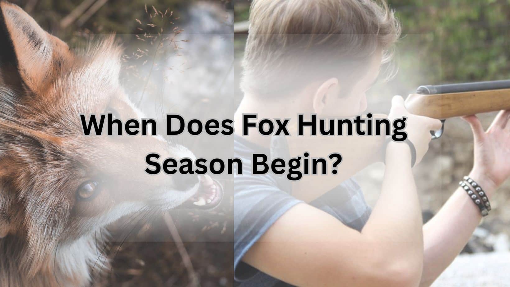 When Does Fox Hunting Season Begin?