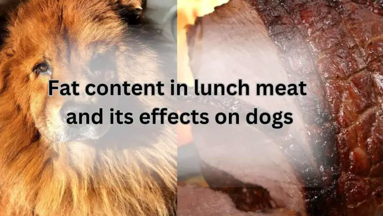 Can Fido Chow Down on Lunch Meat? Unleash the Answer!