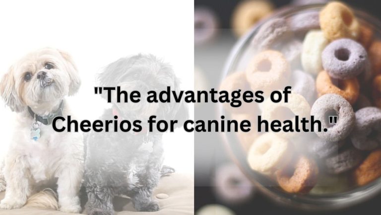 Can Dogs Chow Down on Cheerios? Find Out Now!