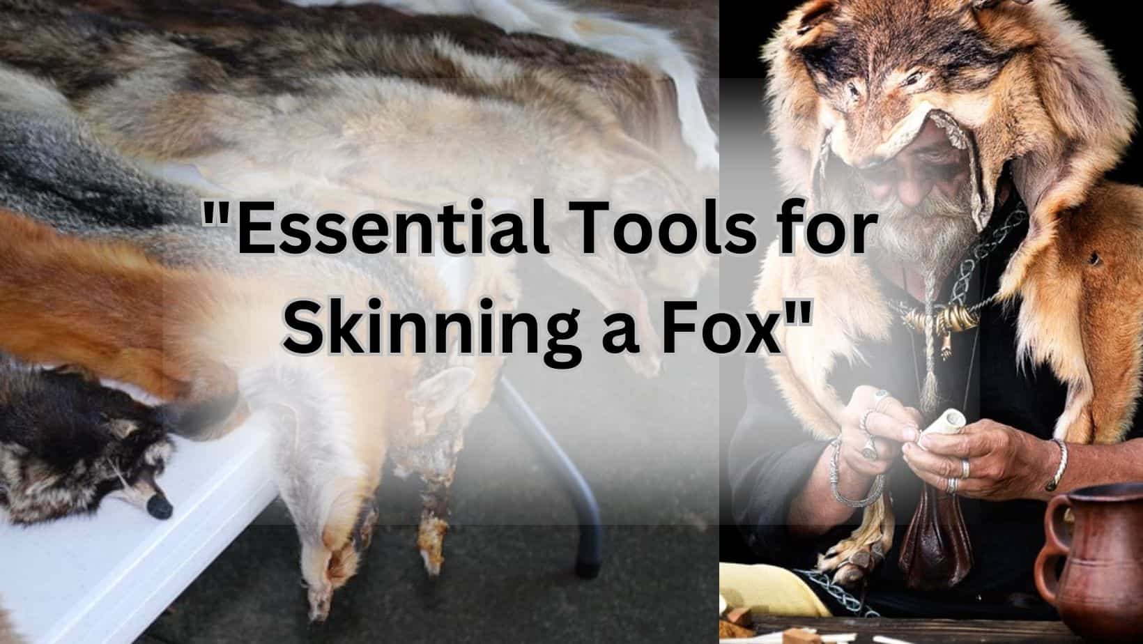 "Essential Tools for Skinning a Fox" Essential Tools for Skinning a Fox