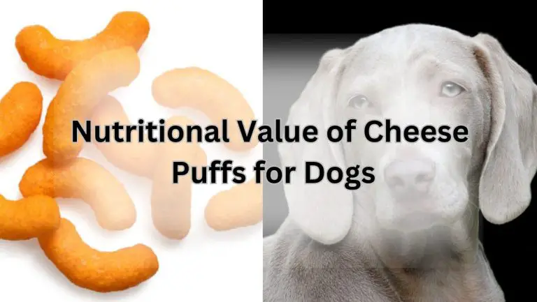 Can Dogs Indulge in Cheese Puffs? Unveiling the Paw-some Truth!