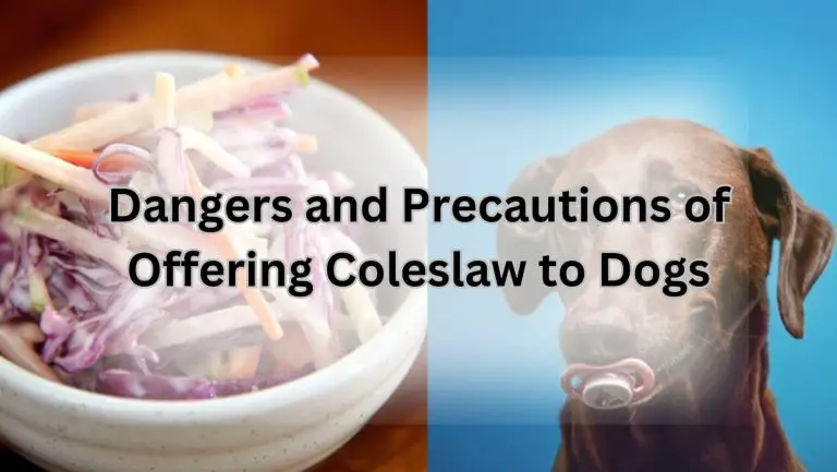 Can Fido Chow Down on Coleslaw? Find Out Here!